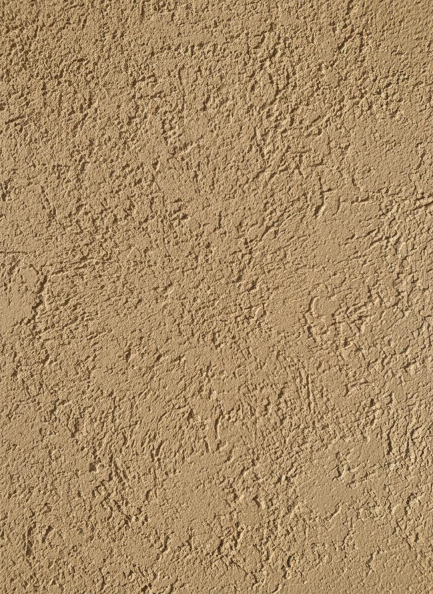 Stucco finish texture